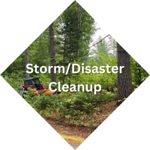 Storm - Disaster Clean up