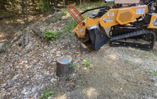 Stump removal