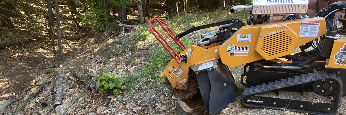 Professional Stump Grinding